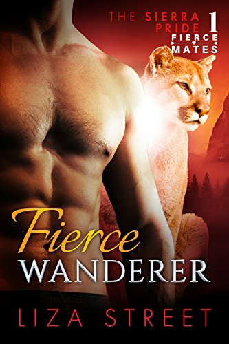 Fierce Wanderer book cover