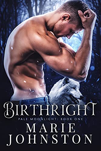 Birthright book cover