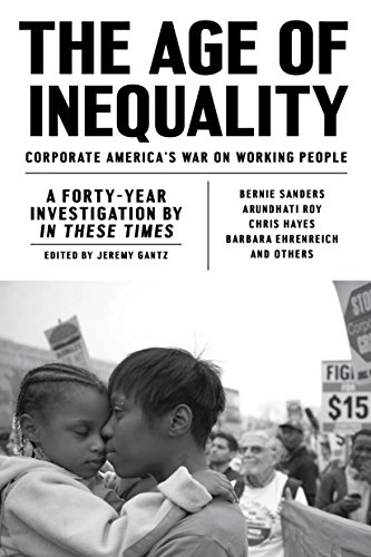 The Age of Inequality book cover