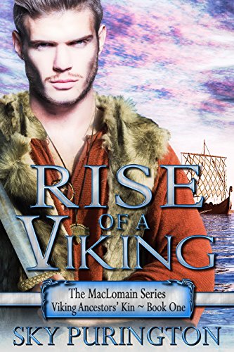 Rise of a Viking book cover