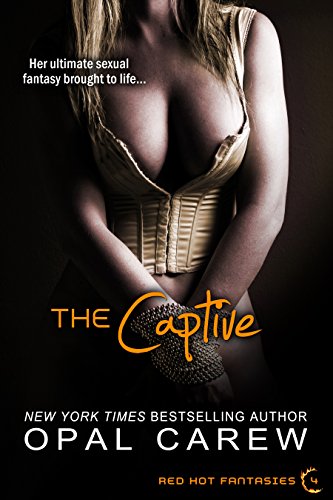 The Captive book cover