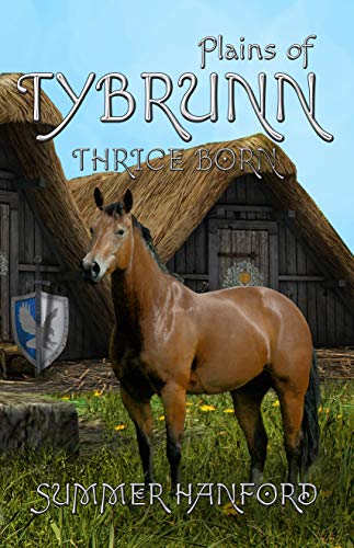 Plains of Tybrunn book cover