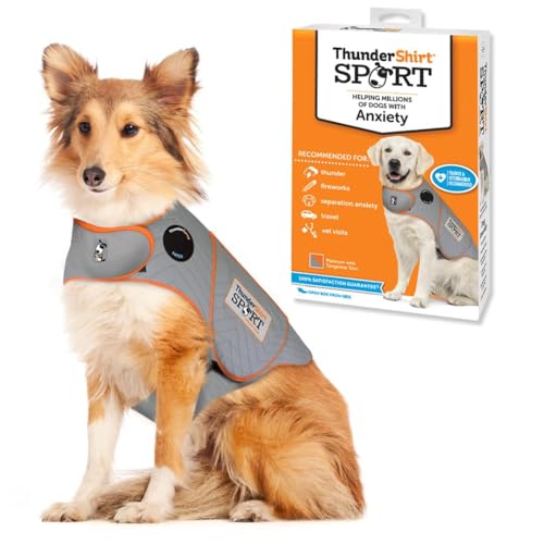 Best Dog Anxiety Vest to Calm Nervous and Stressed Dogs