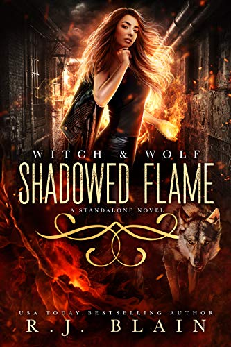 Shadowed Flame book cover