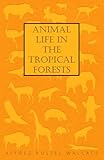 Animal Life In The Tropical Forests English Edition