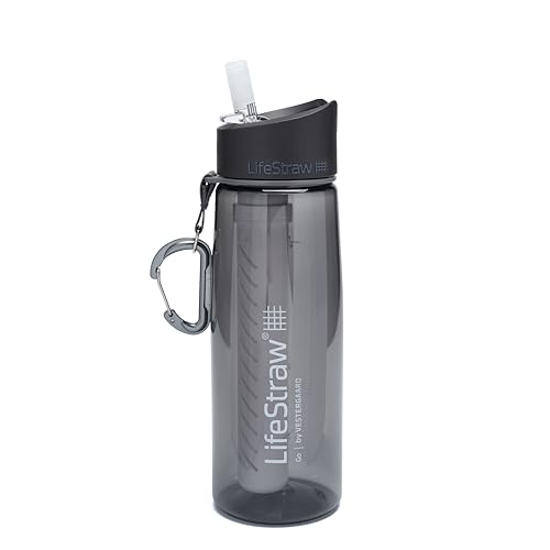 LifeStraw Go Water Filter 22 oz Bottle with 2-Stage Integrated Filter Straw for Hiking, Backpacking, and Travel, Gray