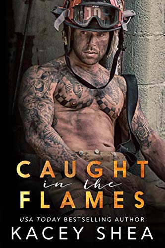 Caught in the Flames book cover