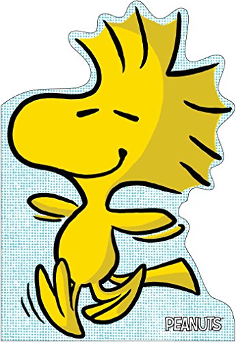 A Best Friend for Woodstock book cover