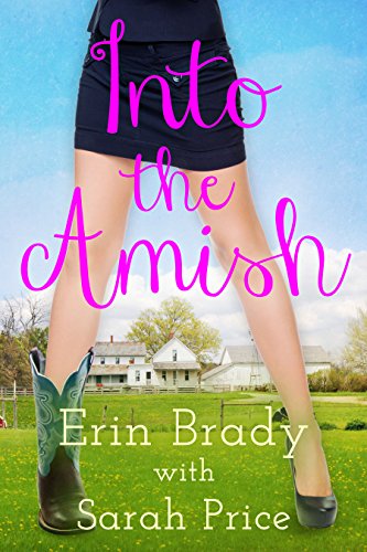 Into the Amish book cover