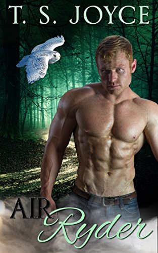 Air Ryder book cover