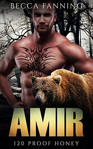 Amir book cover