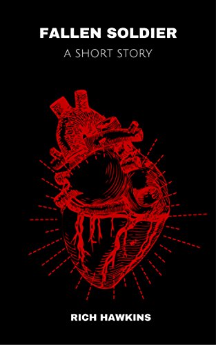 Fallen Soldier book cover