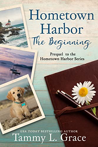 Hometown Harbor: The Beginning cover