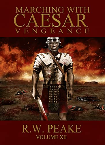 Vengeance book cover