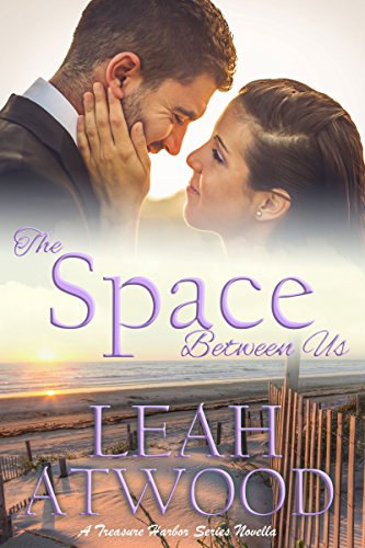 The Space Between Us book cover