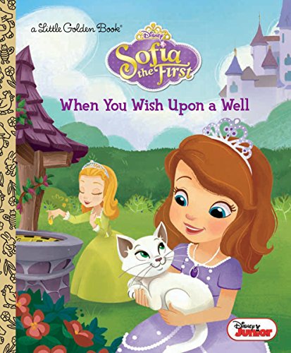 When You Wish Upon a Well (By: Lauren Forte) cover