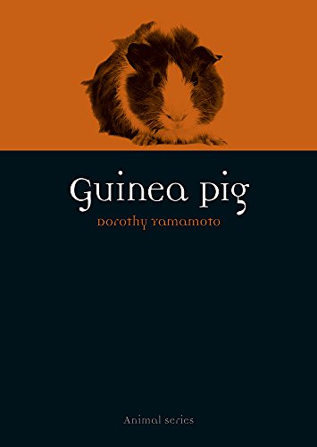 Guinea Pig (By: Dorothy Yamamoto) cover