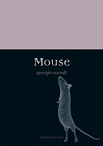 Mouse book cover