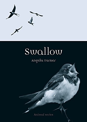 Swallow (By: Angela Turner) cover
