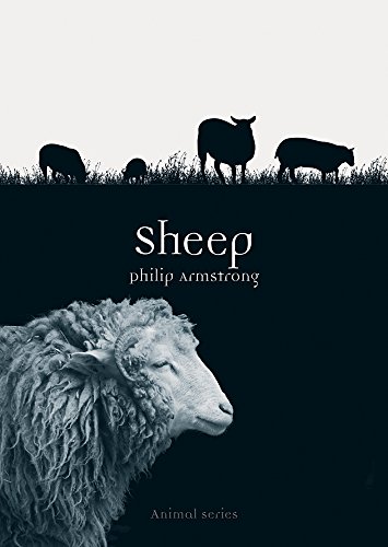 Sheep book cover