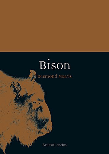 Bison (By: Desmond Morris) cover