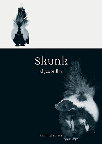 Skunk book cover