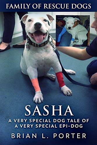 Sasha book cover