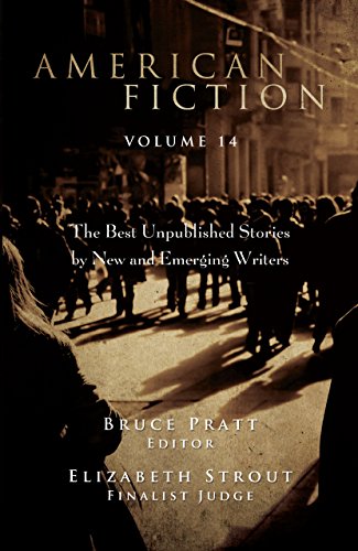 American Fiction Volume 14 book cover