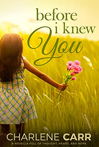 Before I Knew You book cover