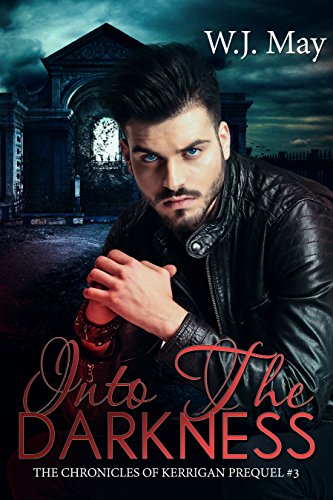 Into The Darkness book cover