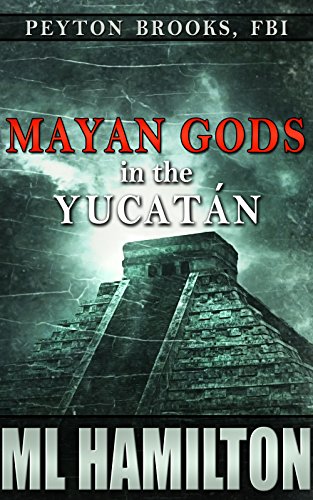 Mayan Gods in the Yucatan book cover