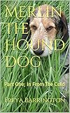 Merlin the Hound Dog; Part One, In From The Cold
