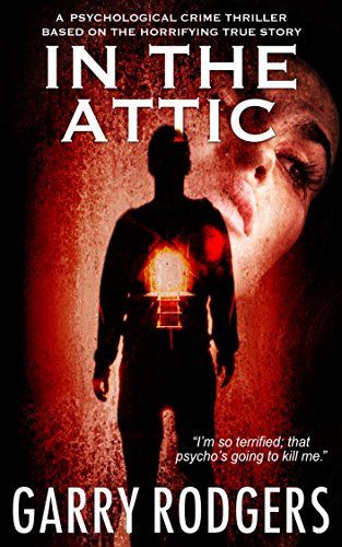 In The Attic book cover
