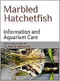 Marbled Hatchetfish English Edition