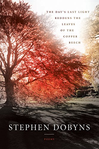 The Day's Last Light Reddens the Leaves of the Copper Beech book cover