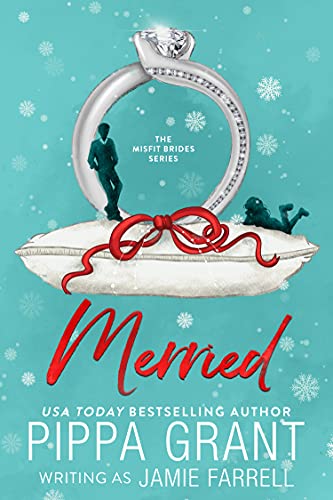 Merried book cover