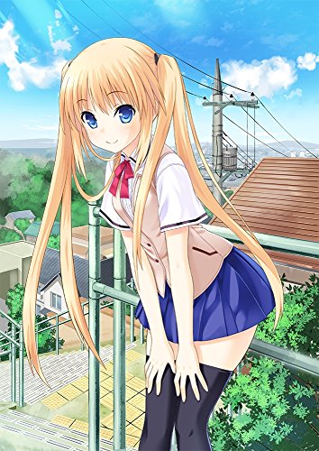 PSVitaのアドベンチャー・ゲーム人気投票&ランキング【ADV】 256位 さかあがりハリケーン Portableの画像