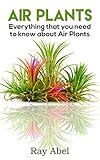 Air Plants Everything That You Need To Know About Air Plants In A Single Book Air Plants Air Plant Care Terrarium Air Plant Book English Edition