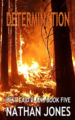 Determination book cover