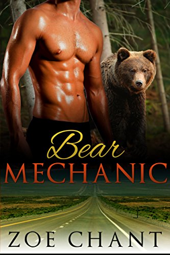 Bear Mechanic book cover