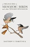 A Field Guide To Mesozoic Birds And Other Winged Dinosaurs English Edition