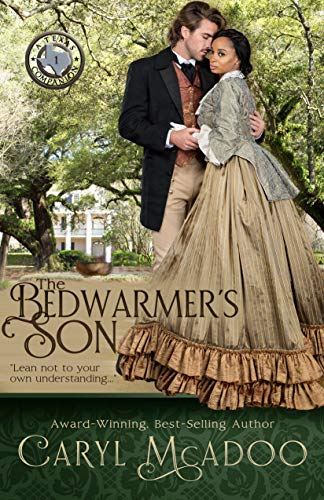 The Bedwarmer's Son book cover