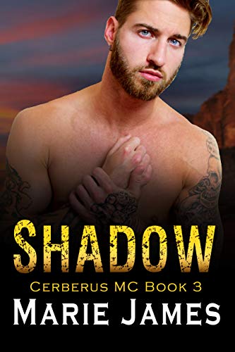 Shadow book cover