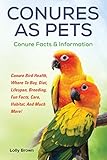 Conures As Pets Conure Bird Health Where To Buy Diet Lifespan Breeding Fun Facts Care Habitat And Much More Conure Facts Information English Edition