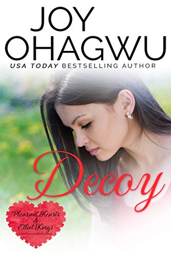 Decoy book cover