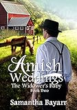The Widowers Baby An Amish Romance Amish Weddings Book 2 English Edition