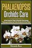 Phalaenopsis Orchids Care 30 Most Important Things To Remember When Growing Phalaenopsis Orchids Orchids Care Gardening Techniques Book 2
