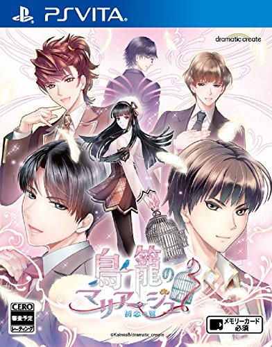 ゲーム会社dramaticcreateで最高傑作のゲームを決める人気投票＆ランキング　39位　鳥籠のマリアージュの画像