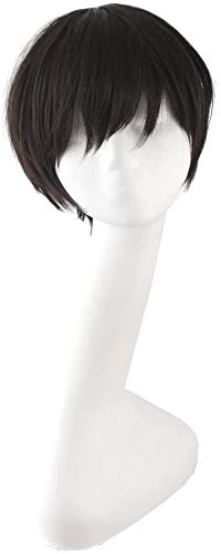 MapofBeauty Fashion Holiday Wig Anime Costume Cosplay Wig (Black#2)