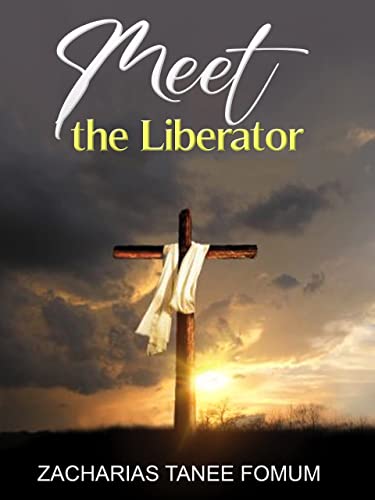 Meet The Liberator! cover